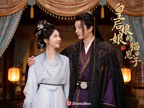 《陛下，冷宮那位生了兩隻「貓」》主演介紹｜撐住荒謬世界的關鍵角色