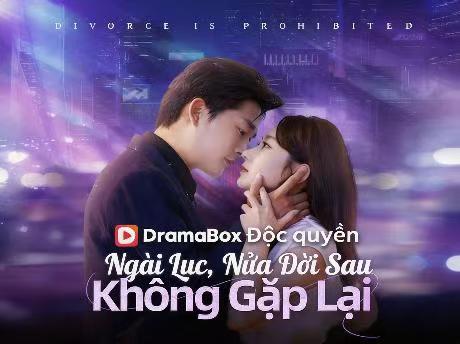 Ngài Lục, Nửa Đời Sau Không Gặp Lại Phim