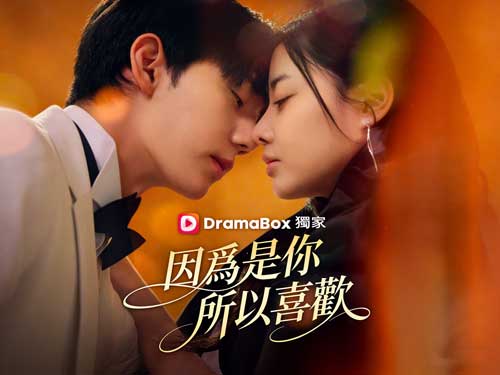 因爲是你，所以喜歡線上看韓國短劇：當婚姻比戀愛更早開始，愛情該怎麼重新發生？