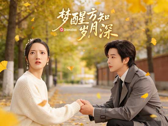 偏航半生，終見燈塔線上看｜如果人生能重來一次，你還會選錯那個人嗎？