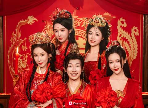 Istriku Tiga, Takdirku Gila Season 2❤️Cinta, kekuasaan, dan pilihan yang tidak bisa ditarik kembali