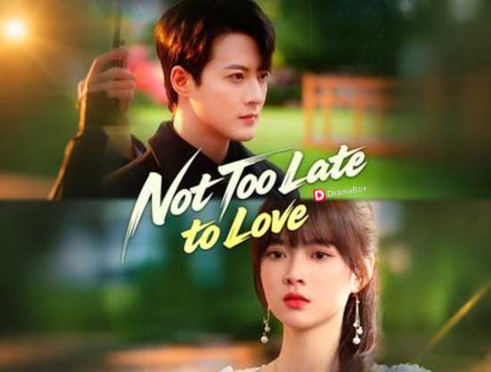 ❤️‍🩹🫂Not Too Late to Love Chinese Drama + Full Cast: When Regret Arrives Ten Years Too Late