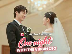 One Night With the Virgin CEO Full Movie