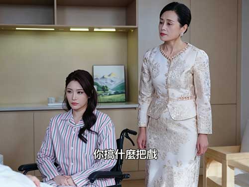 隱婚三年的樓星吟與嚴飛凡，在嫂子夏語冰的陰謀與陷害下走向決裂，流產、離婚、追悔交錯，最終以一場為愛擋刀的悲劇收場。情感與真相層層反轉，盡在風月盡處舊人殤線上看。