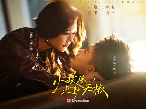 🌹🔥小玫瑰是霸王花線上看：當豪門太太不再是花瓶，而是整個棋局的操盤手