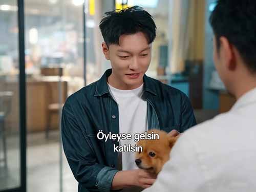 Ödünç Yüz İzle arayanlar için bu kısa dizi, zoraki evlilik, kimlik karmaşası ve geç kalan aşkın etkileyici bir anlatımını sunuyor.