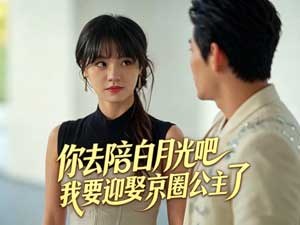 你去陪白月光吧，我要迎娶京圈公主了