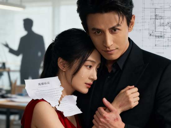 化学反応としての俳優カップル感