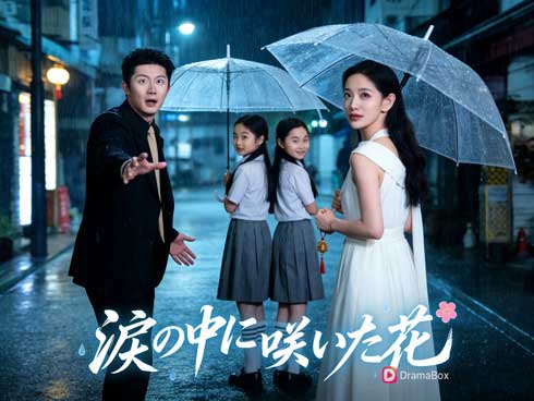 涙の中に咲いた花ネタバレ | 沈黙と視線で紡がれる感情の設計