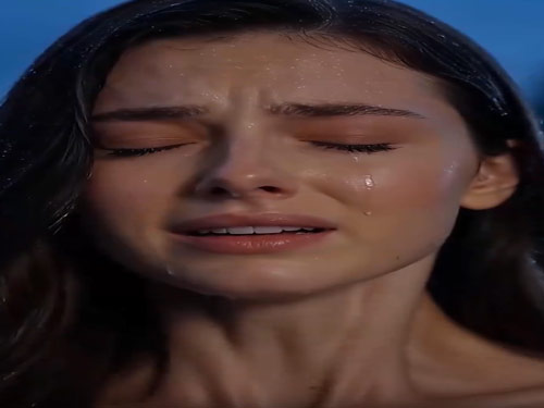 上传图片 Q.jpg