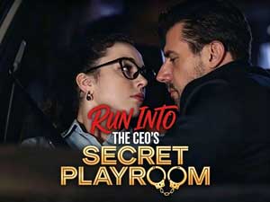 Run into the CEO's Secret Playroom Run into the CEO's Secret Playroom