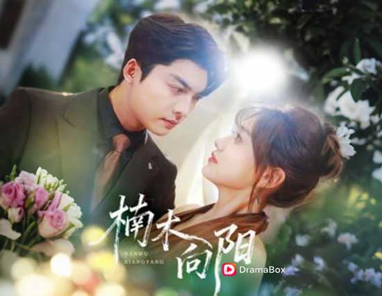 【楠木逢春線上看】浴火重生的她，終於活成自己心中的那道光