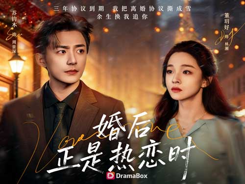 協議婚姻從養貓開始失控線上看：一場從冷暴力婚姻開始的反擊，最後卻變成心動事故