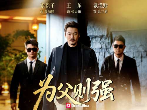 父愛如山亦如鋒線上看短劇全集與演員表 - DramaBox