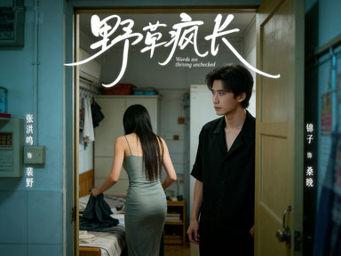 《野草瘋長時》細膩鋪墊，宿命感與情感張力拉滿