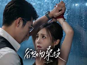 欲折桑枝全集線上看