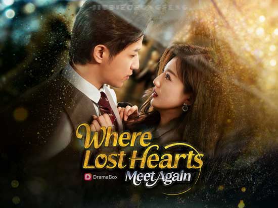 Where Lost Hearts Meet Again Chinese Drama: When Time Separates Love, and Fate Gently Brings It Home