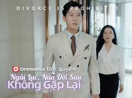 Ngài Lục, Nửa Đời Sau Không Gặp Lại Phim