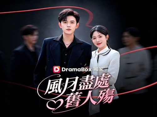 風月盡處舊人殤線上看最新短劇全集：流產、離婚、追悔交錯的爱情游戏！